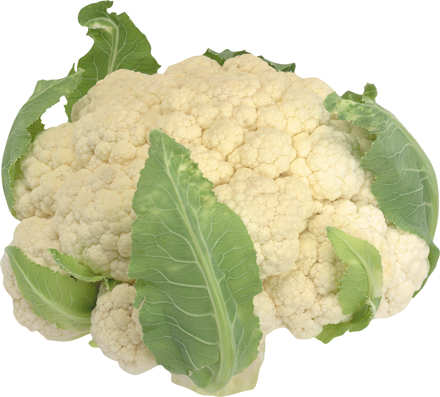 Cauliflower PNG images Download