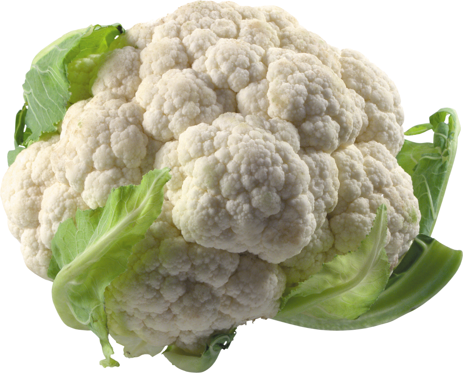 Cauliflower PNG images Download