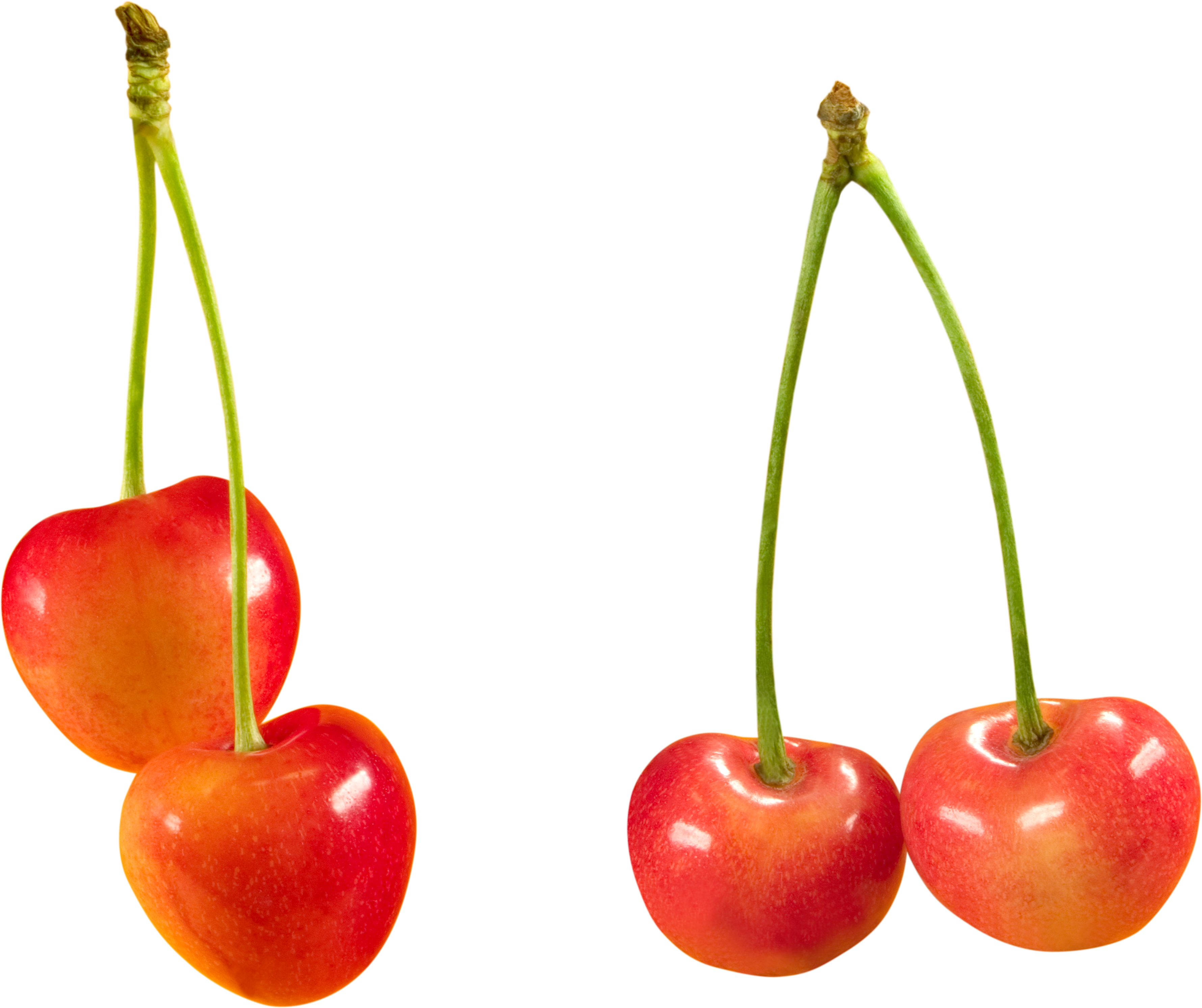cherry PNG image