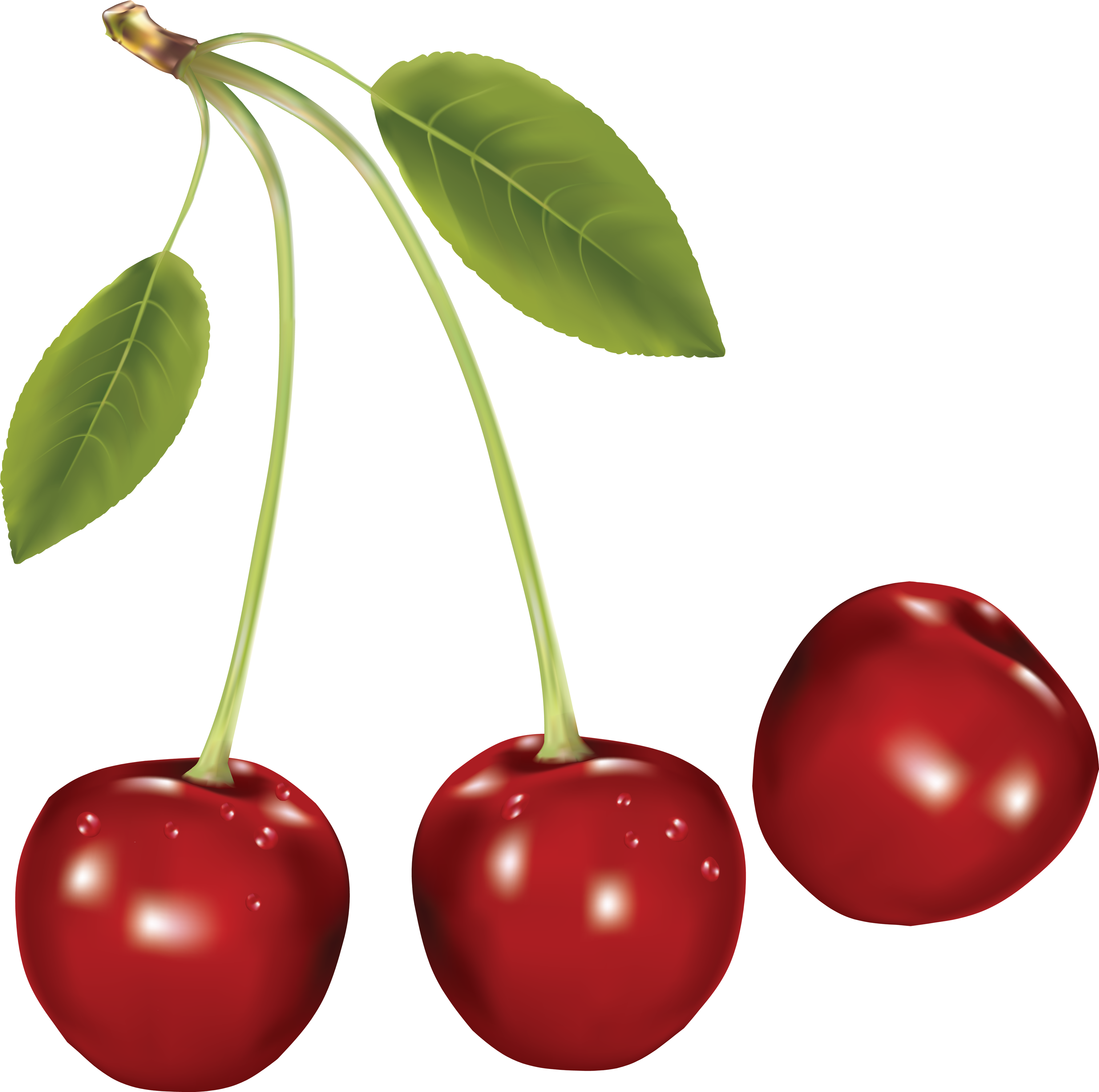 Cherry PNG image free Download