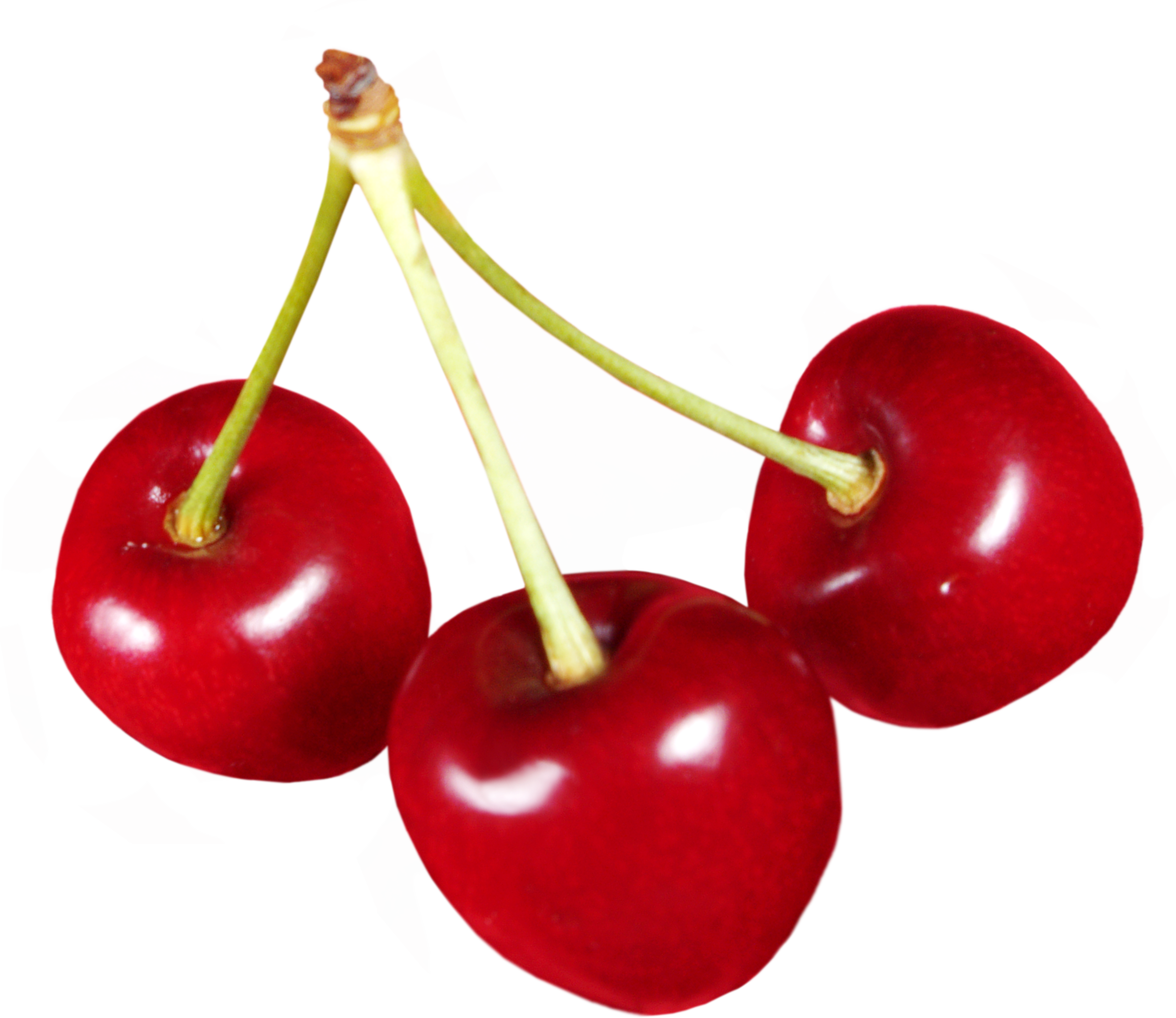 Cereza PNG