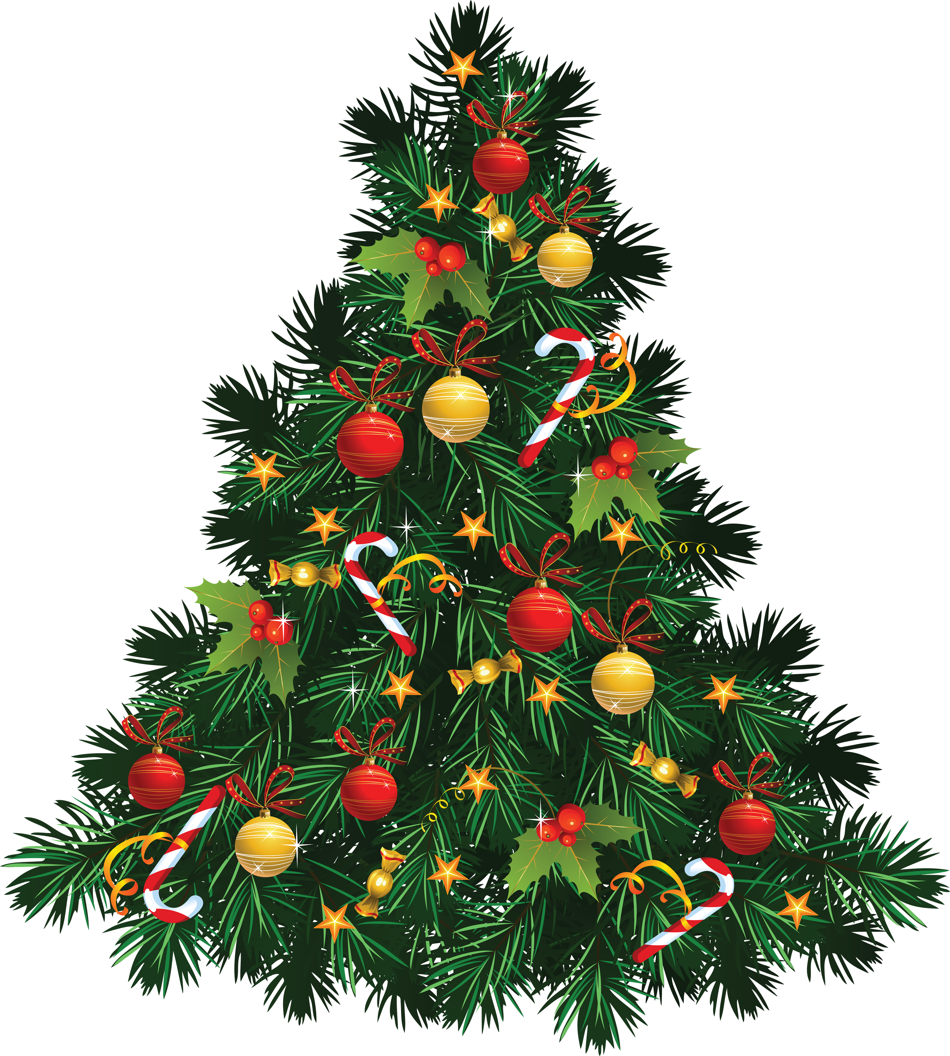 Navidad abeto imagen PNG