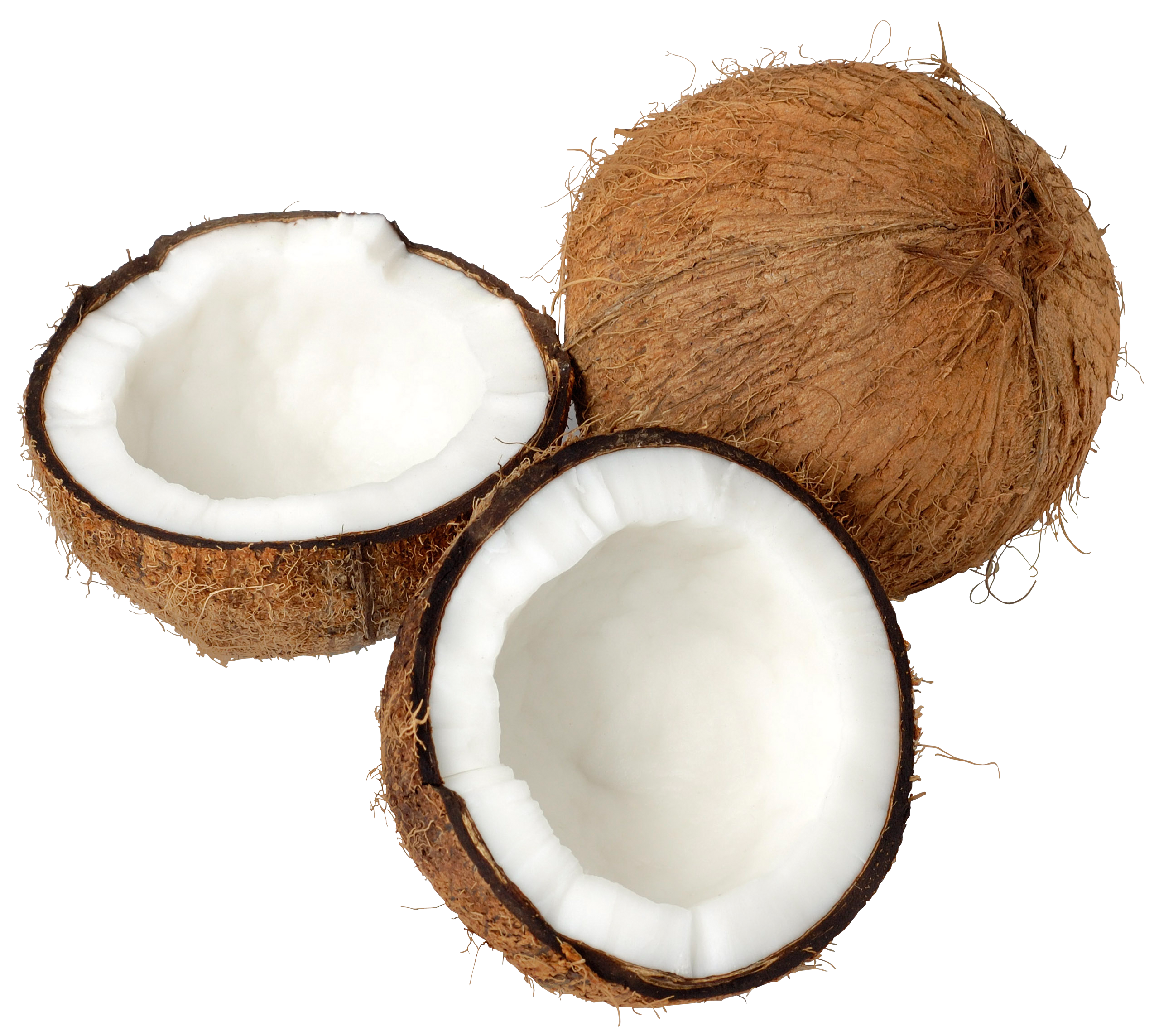 Coconut PNG images