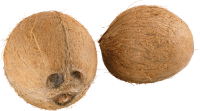Coco PNG