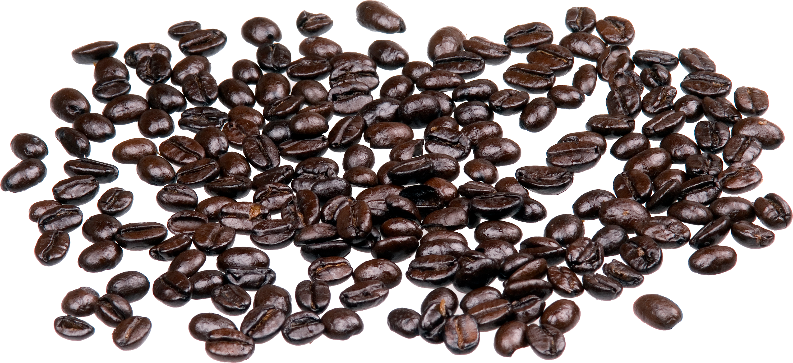 Granos de café PNG