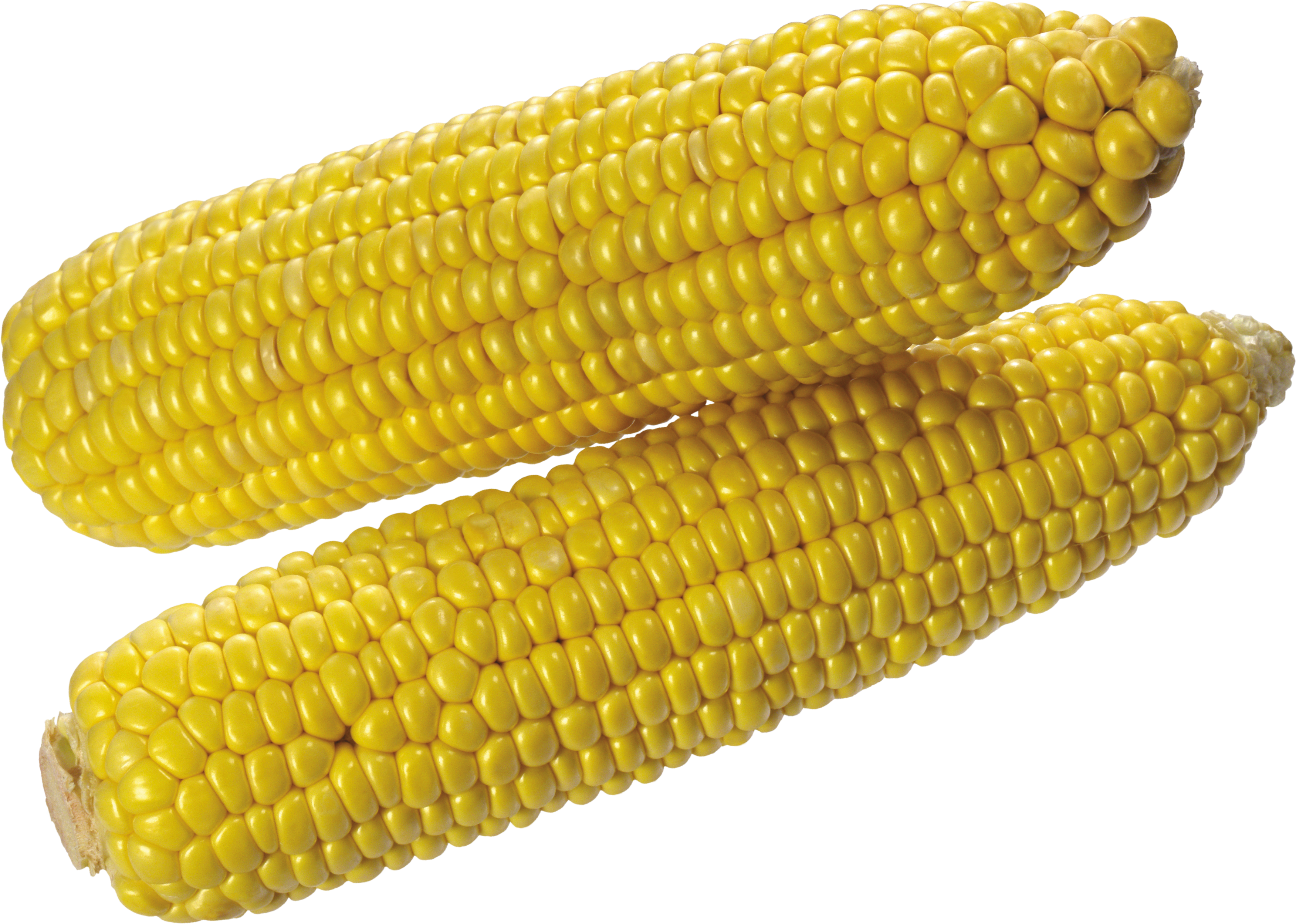 Corn PNG image free Download