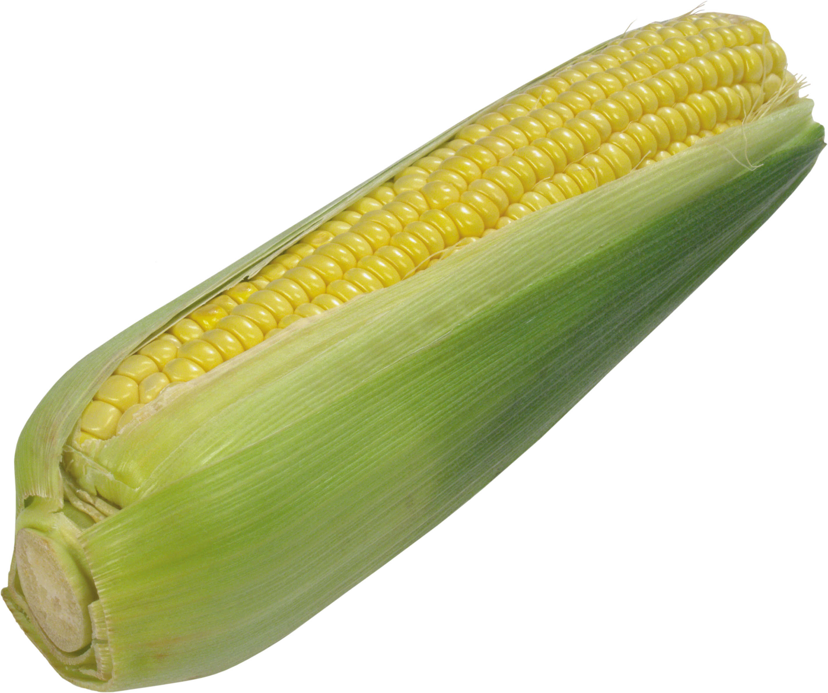 Maize PNG