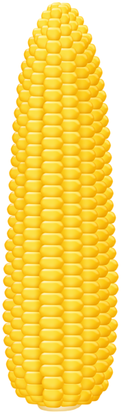 Кукуруза PNG