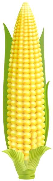Кукуруза PNG