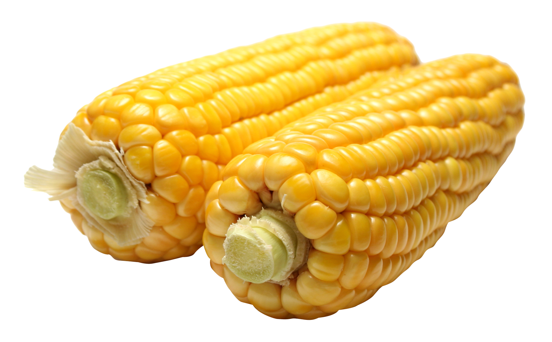 Maize PNG