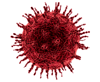 Coronavirus, COVID-19 PNG
