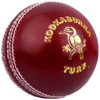Крикет мяч PNG