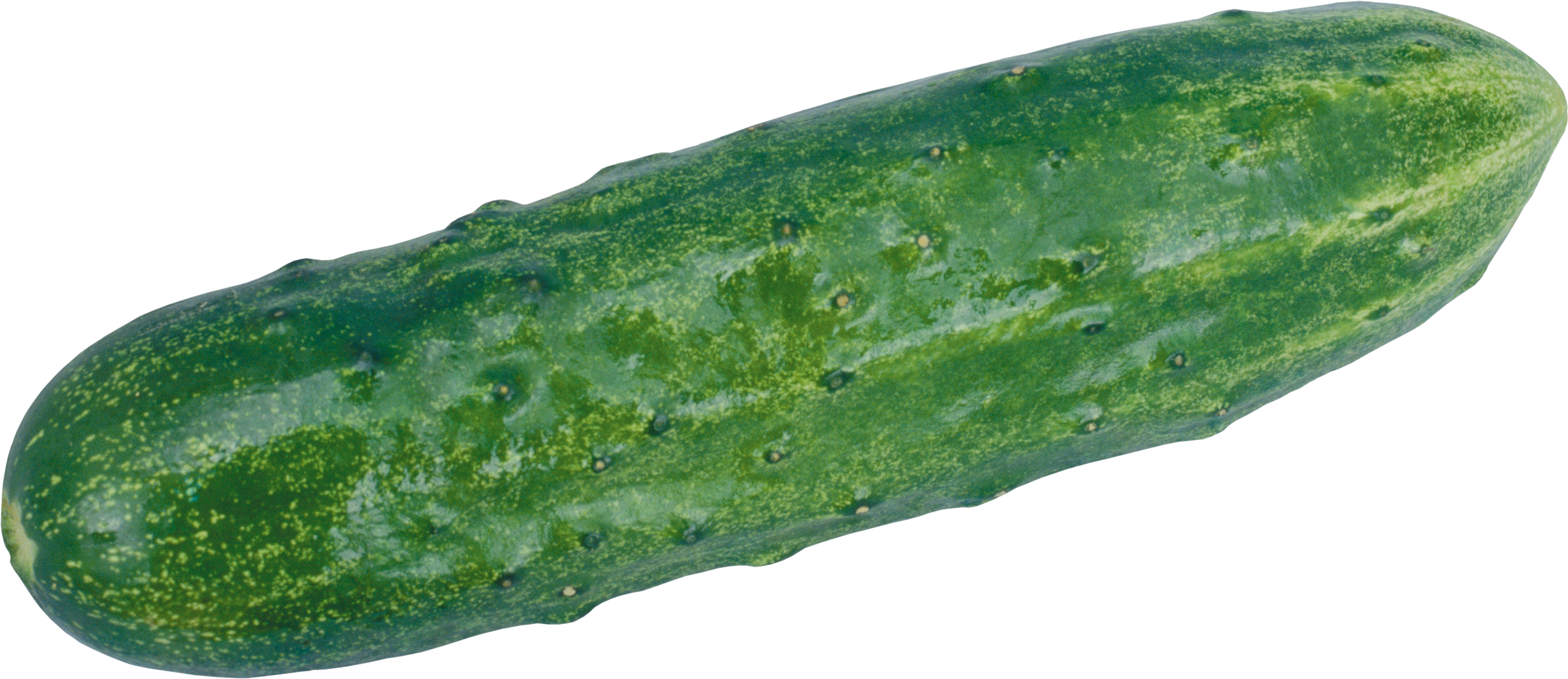 Cucumber PNG images