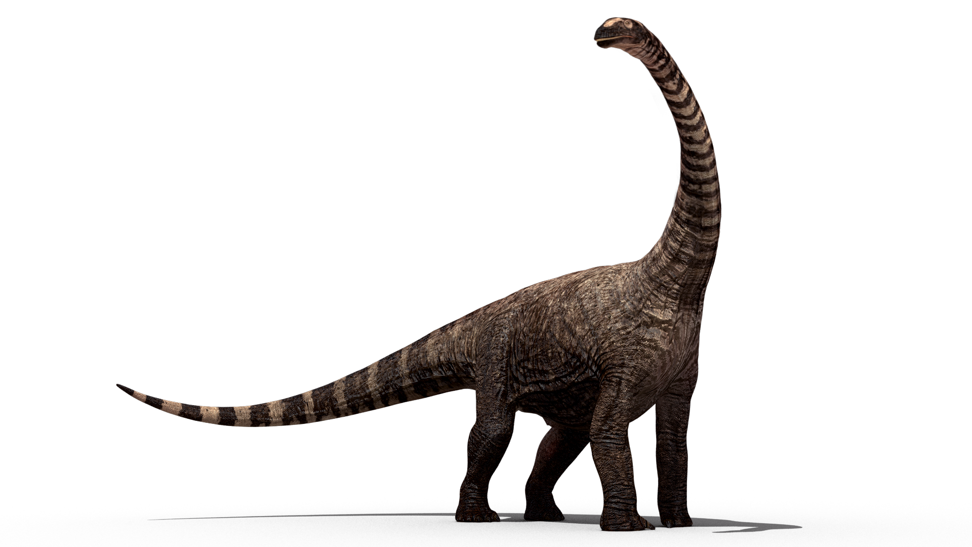 Динозавр PNG
