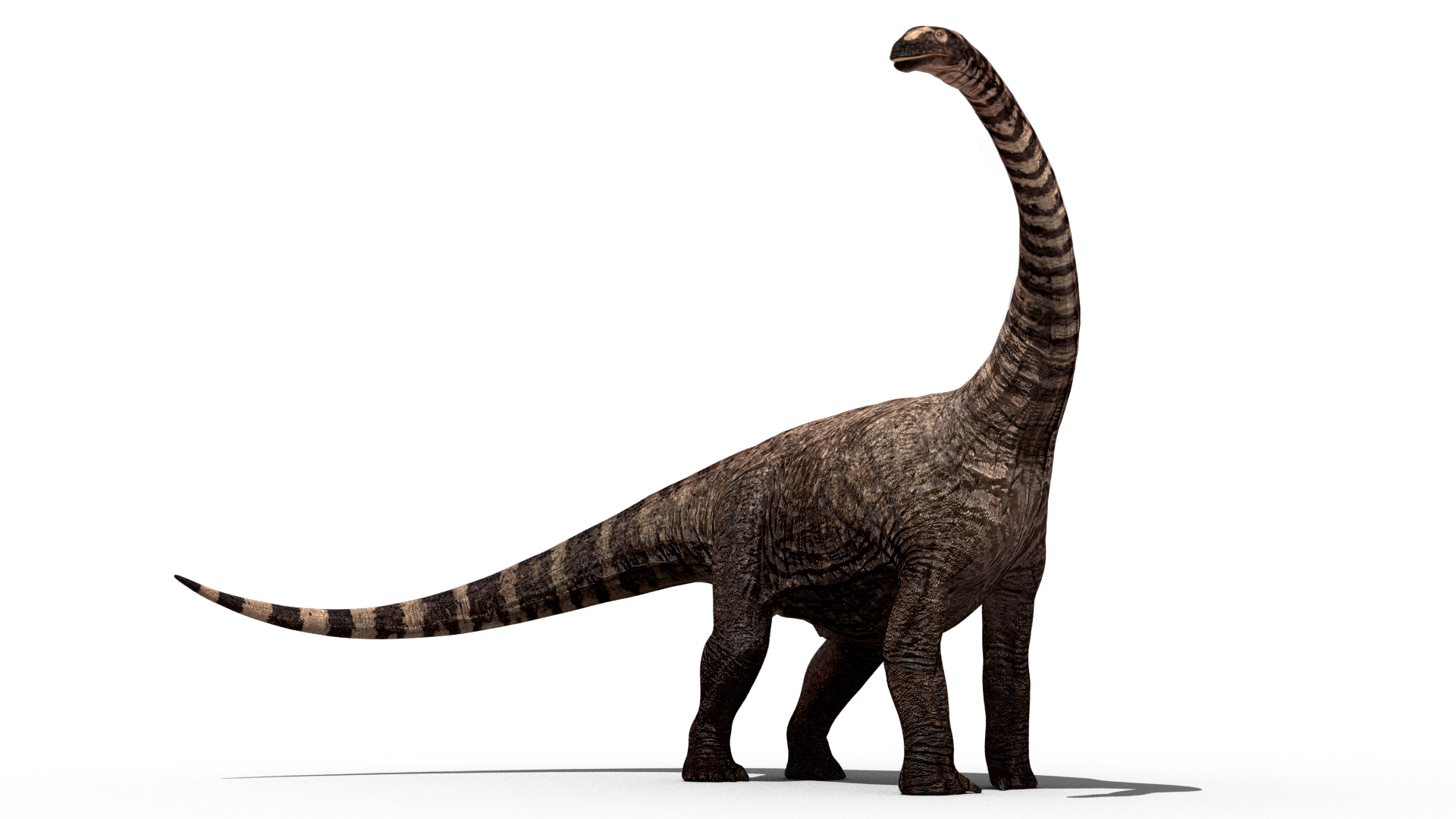 Dinosaurio PNG