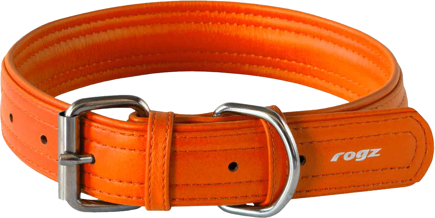 Dog collar PNG images