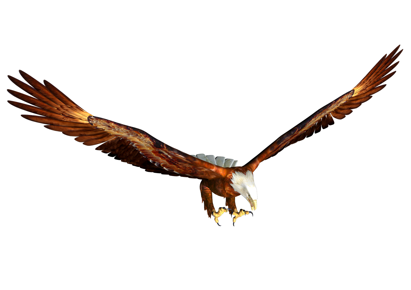 Águila PNG