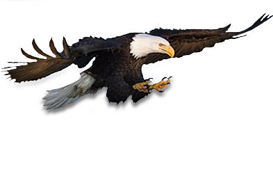 Eagle PNG images Download