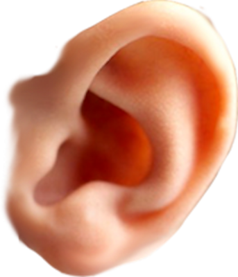 Ear PNG images 