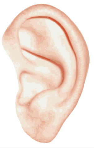 Ear PNG images  image