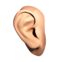 Oído PNG