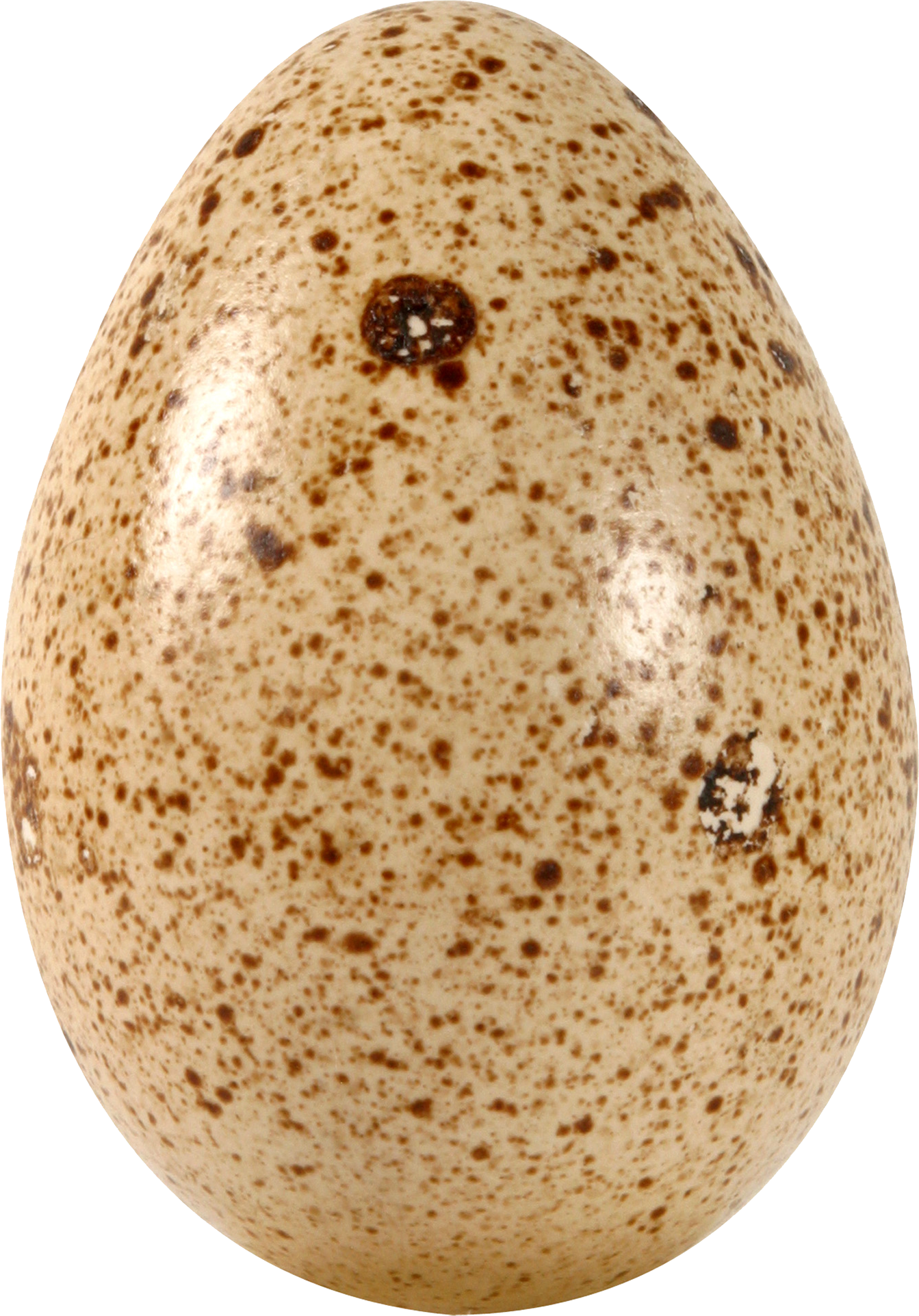 Huevos, huevo PNG