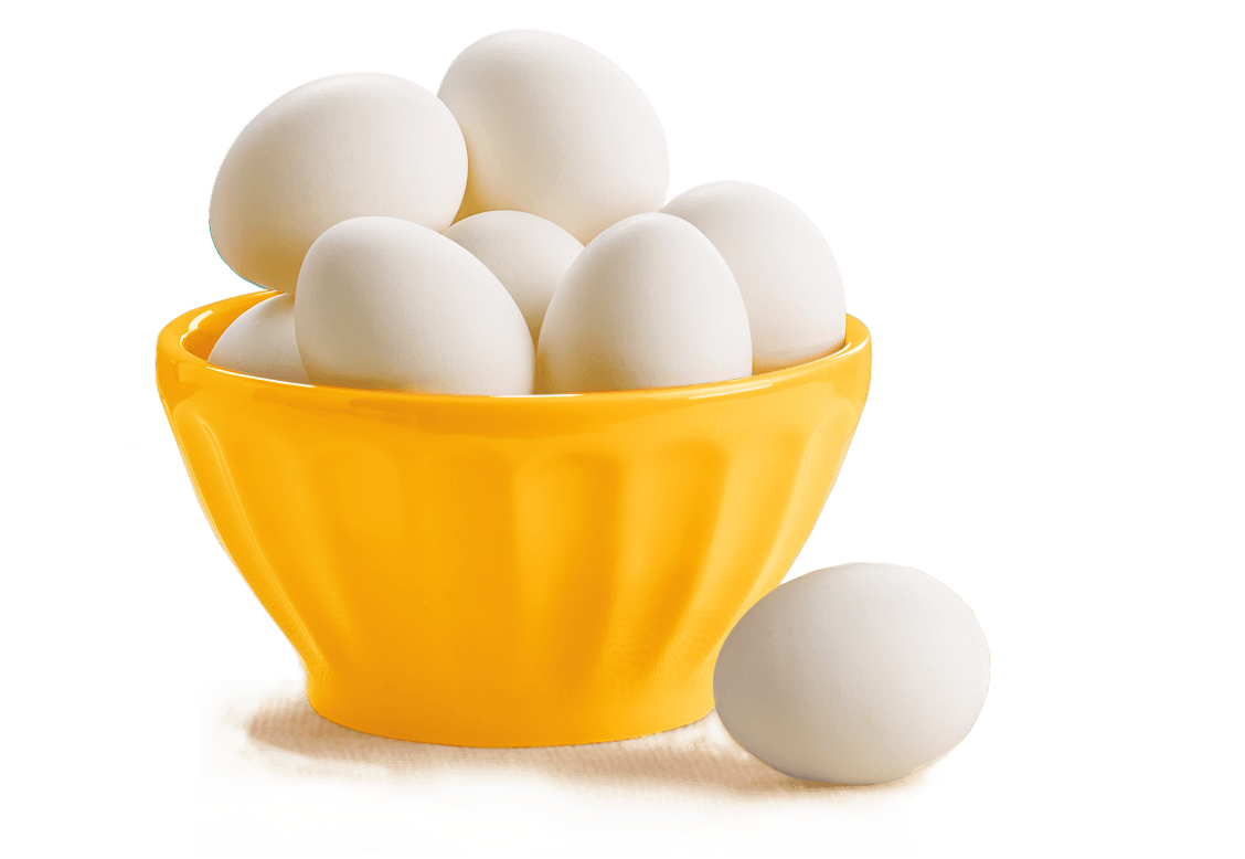 eggs PNG