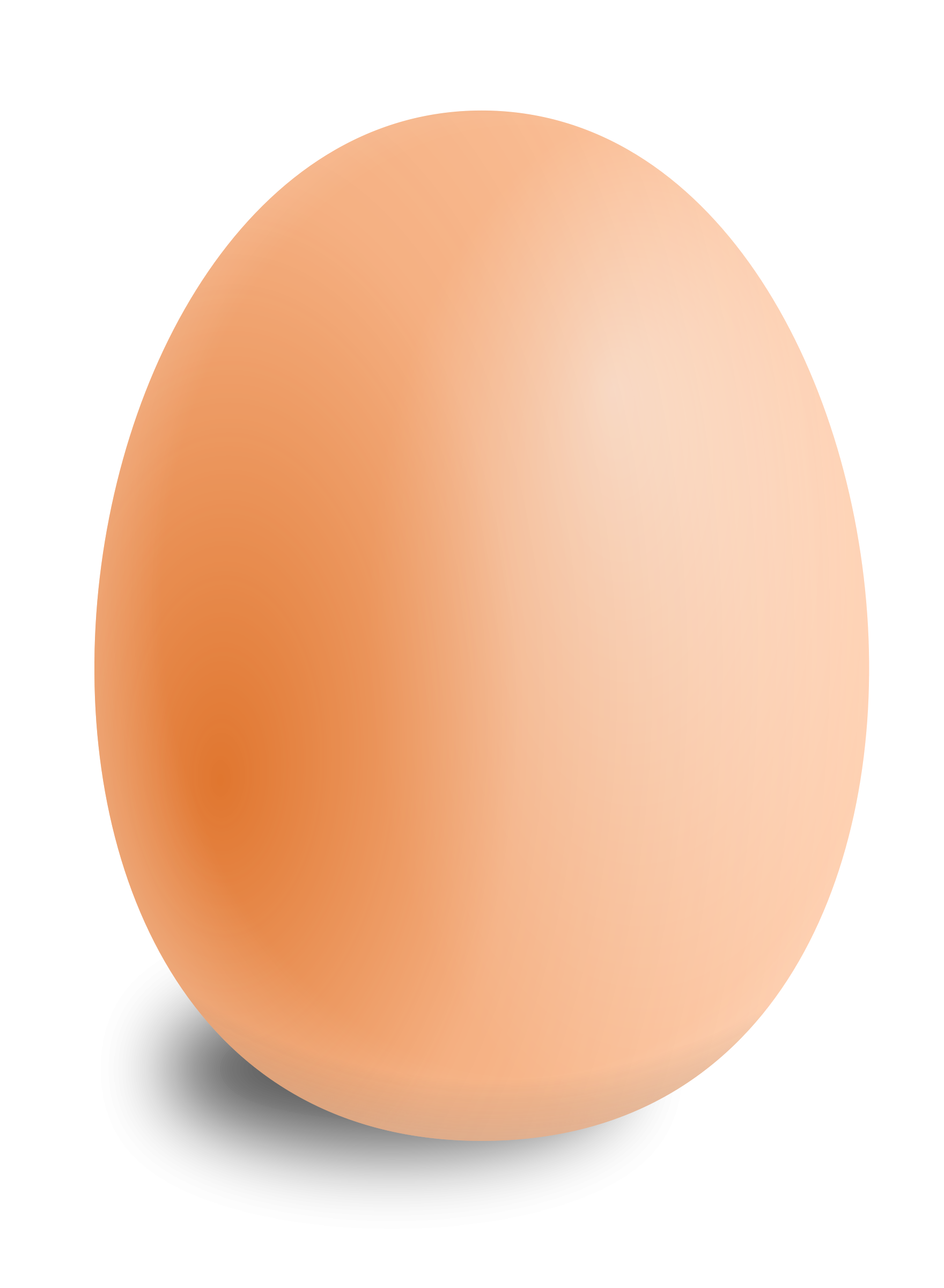 Egg PNG Image PNG Image With Transparent Background