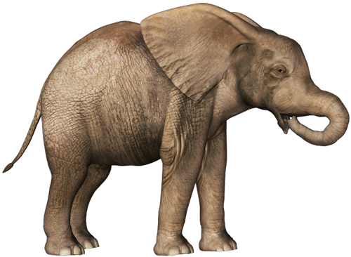 Elefante PNG