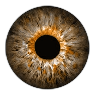 Ojo PNG