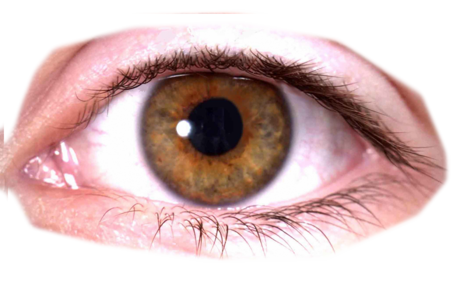 Ojo PNG