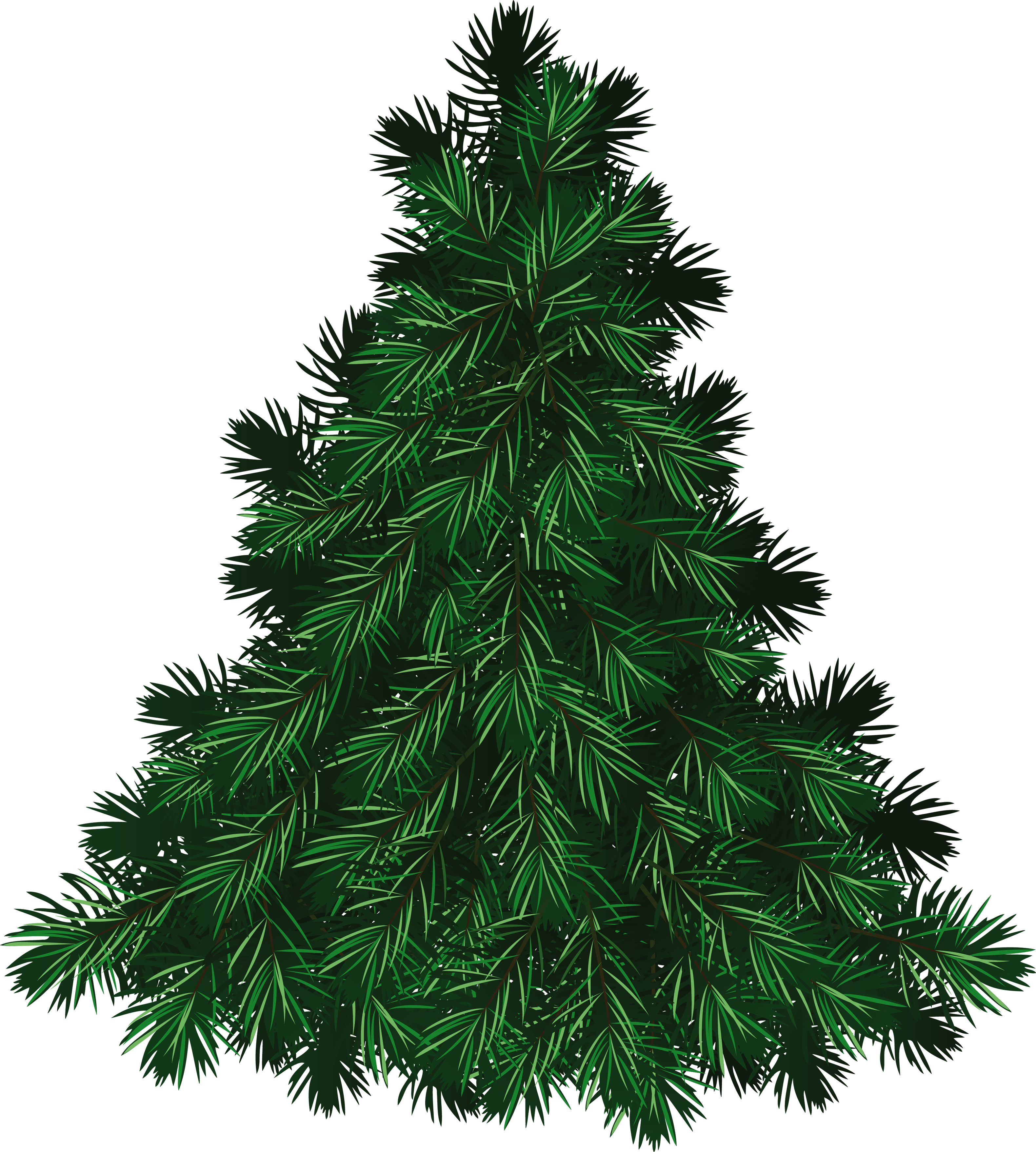 green Fir-tree PNG images