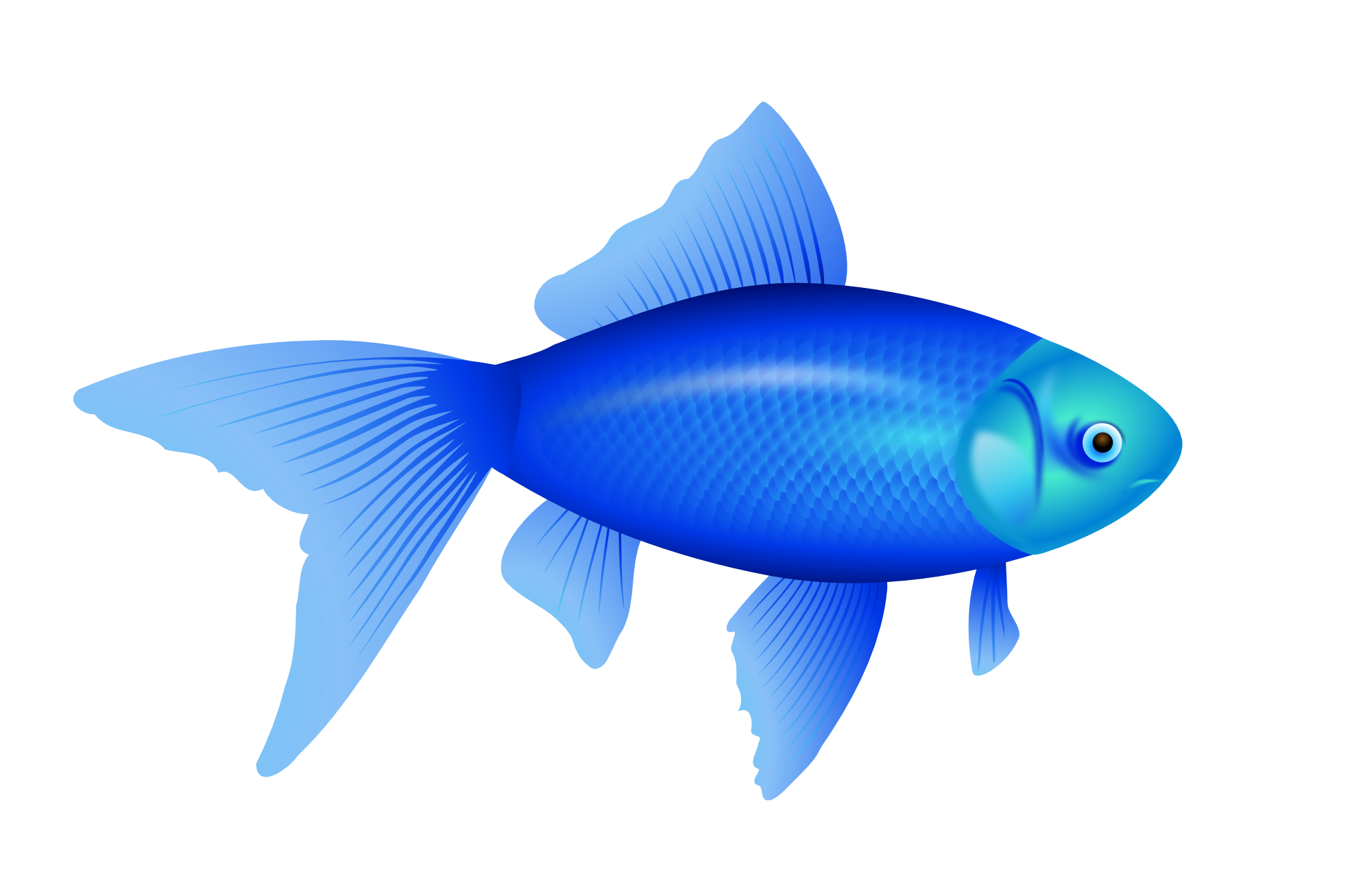 fish clipart no background - photo #5