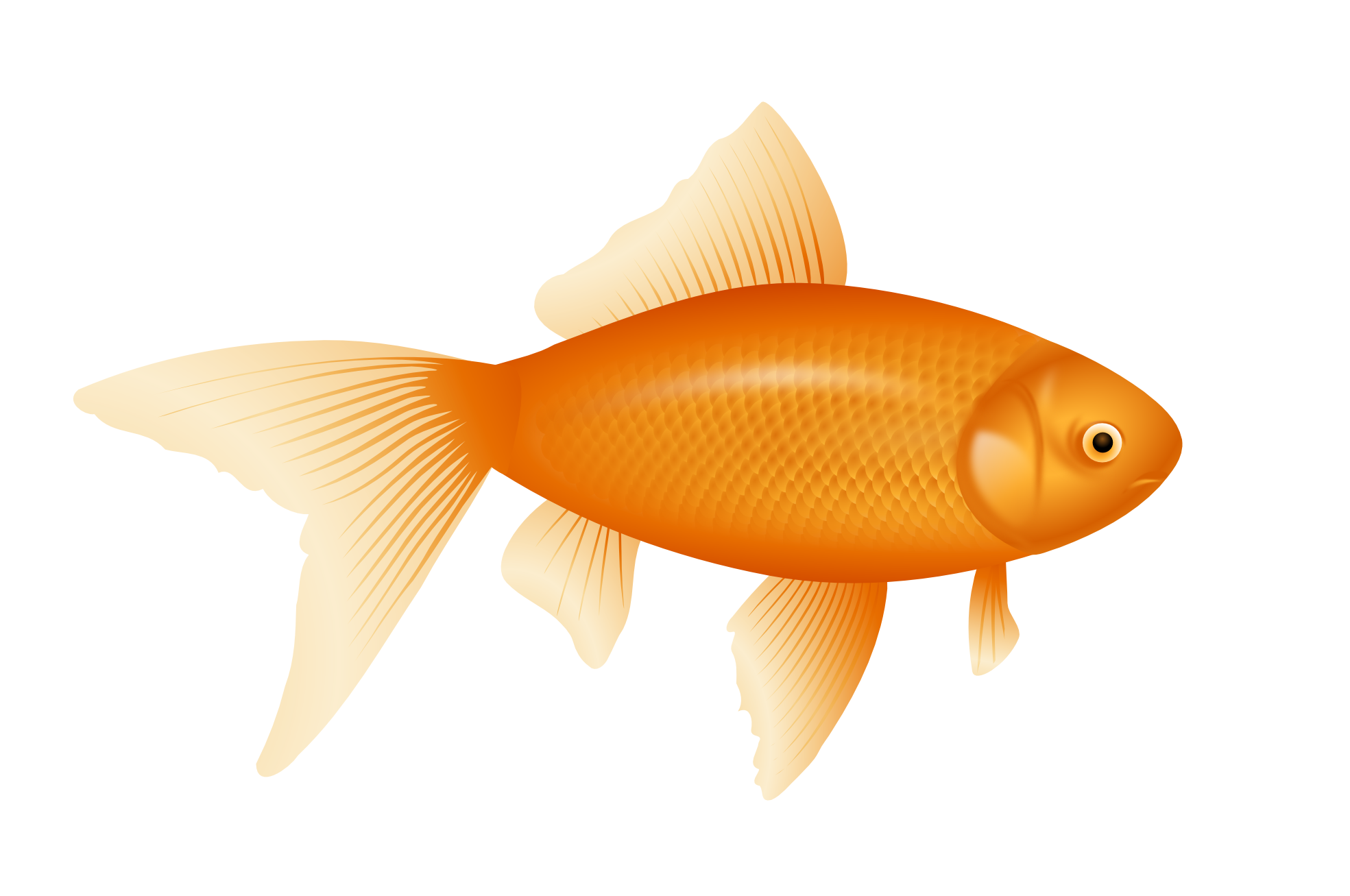 Pescado PNG