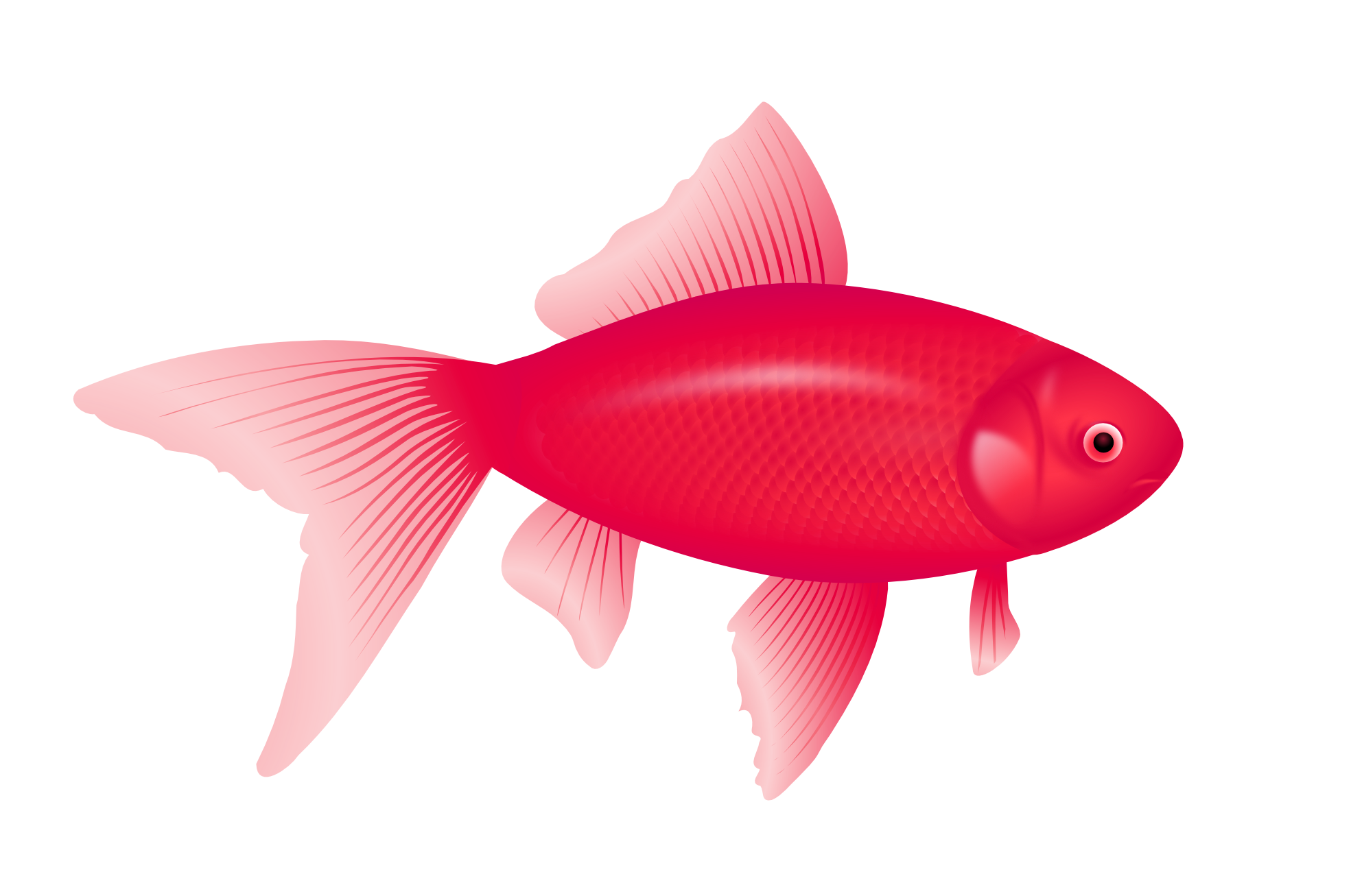 purple fish PNG image