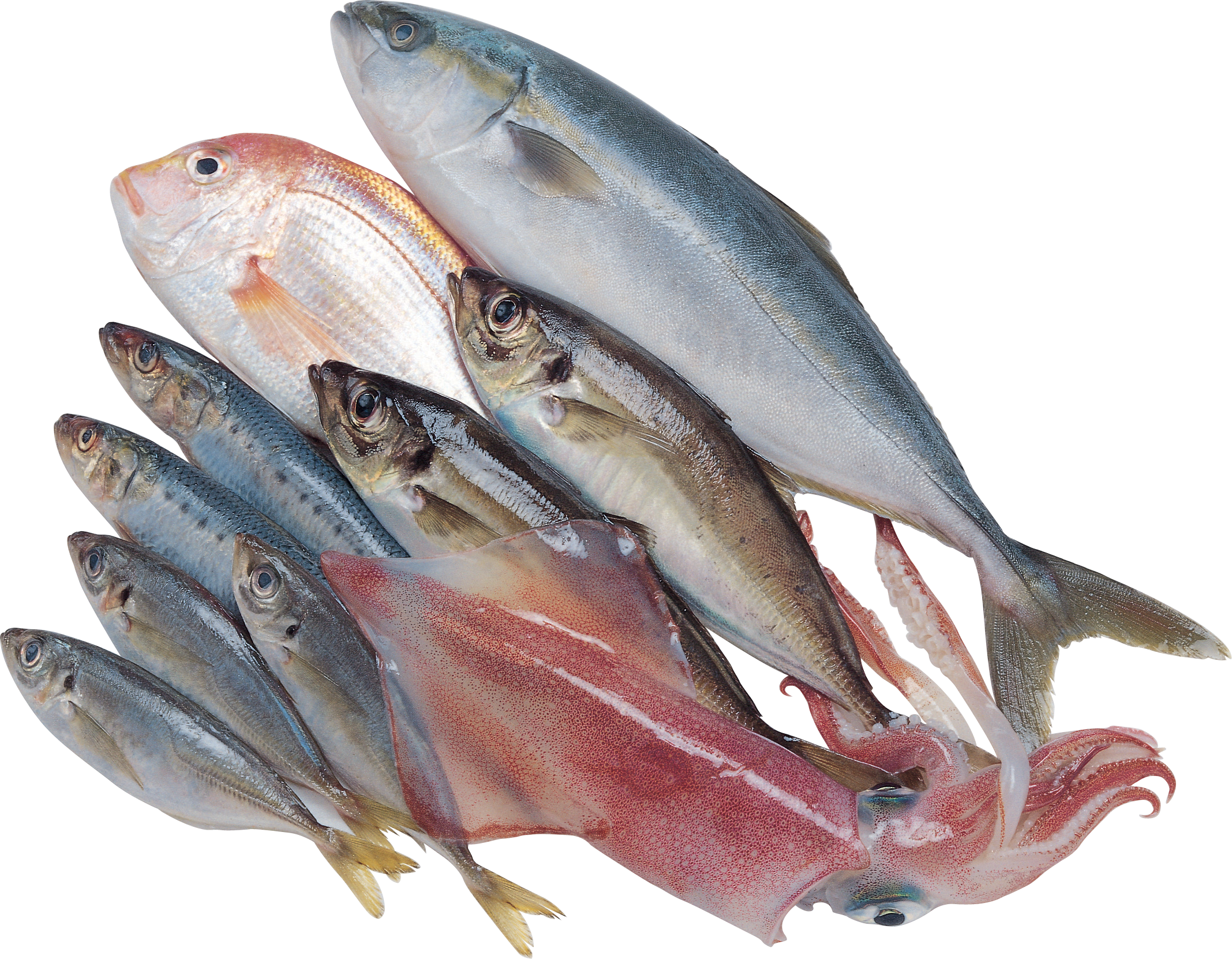 Pescado PNG