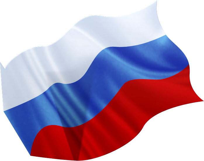 Russia flag PNG