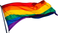 ЛГБТ флаг PNG
