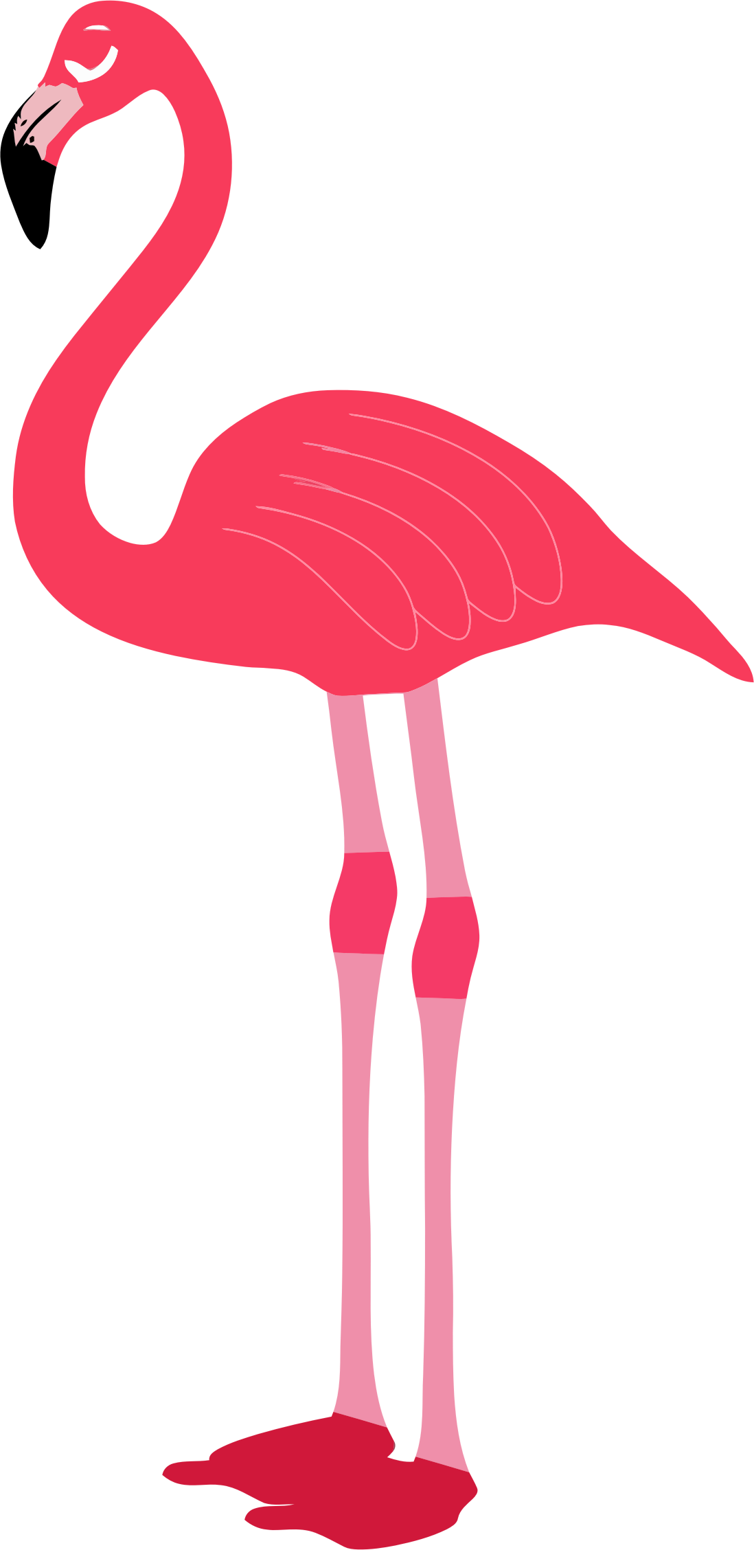 Flamingo PNG images