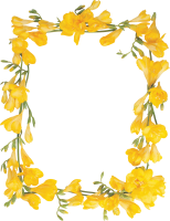 Floral frame PNG images free download, flower frame PNG images