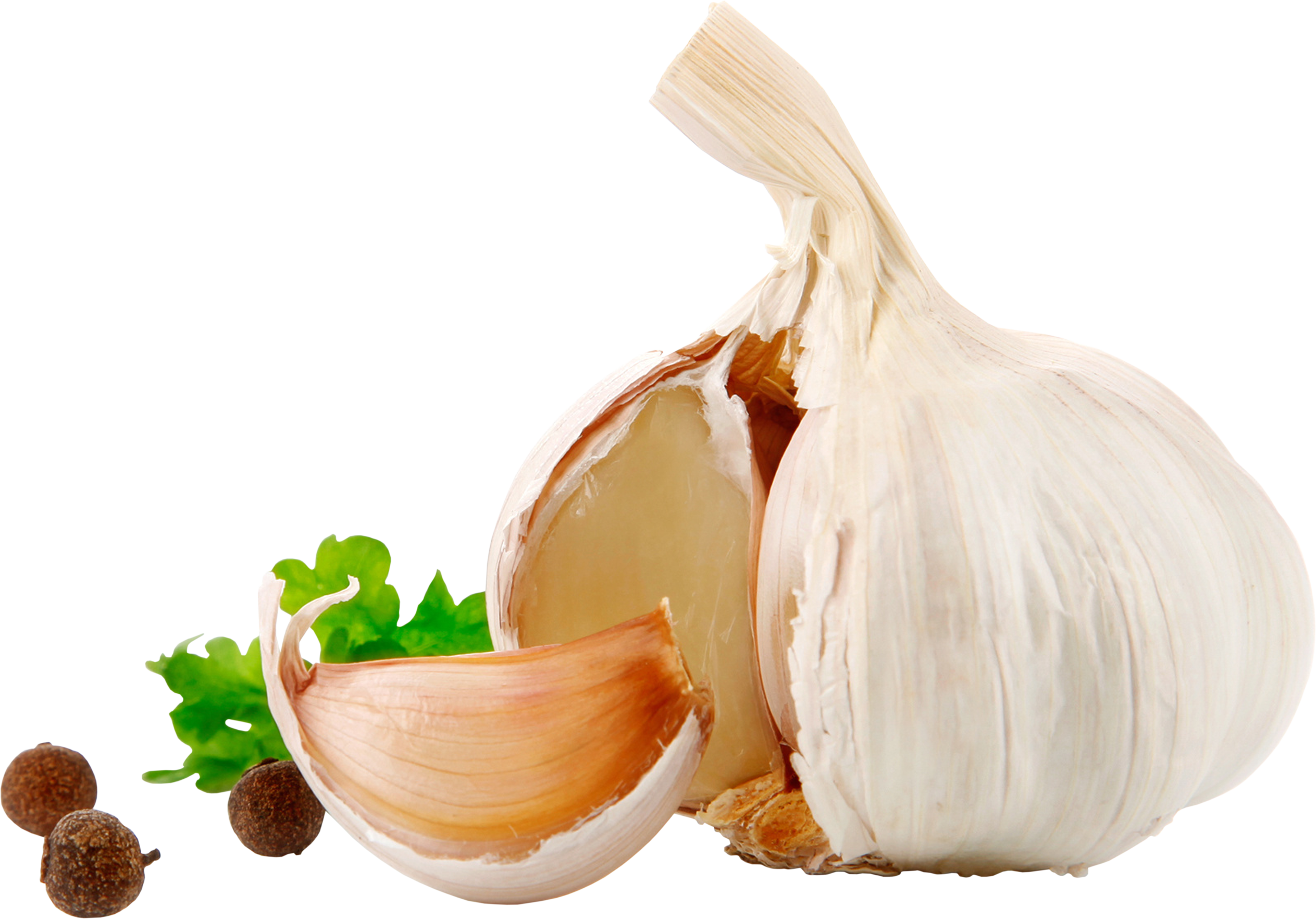 garlic-png