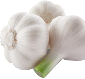 Garlic PNG image free Download