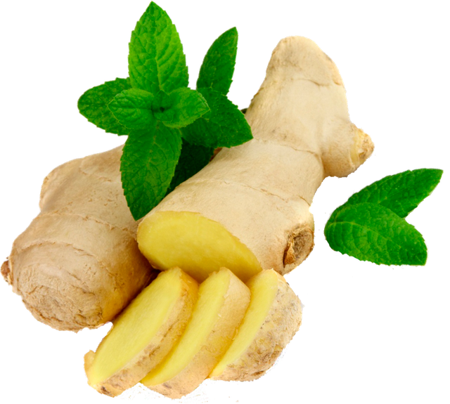 Ginger PNG