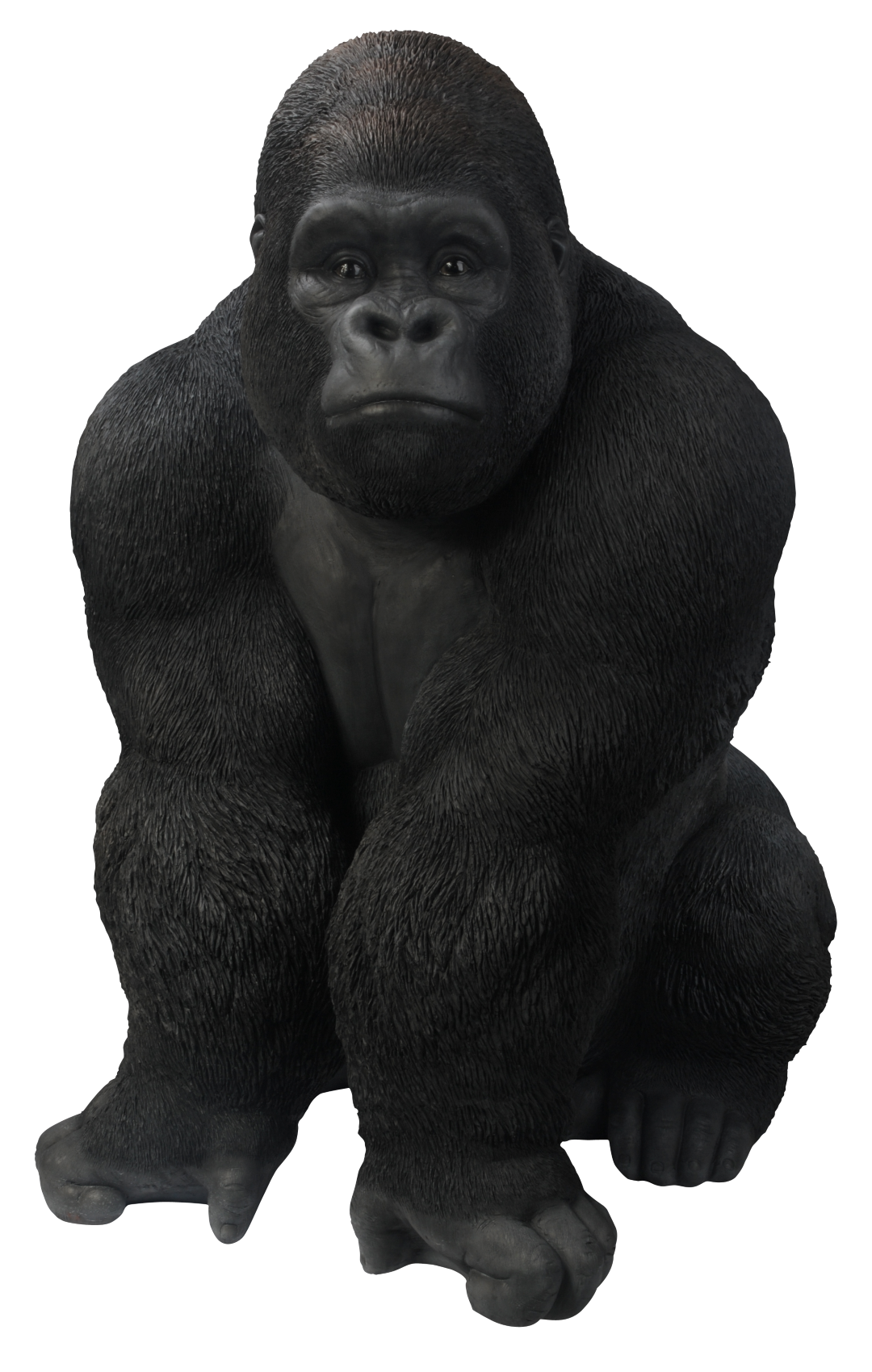 Gorilla PNG images Download