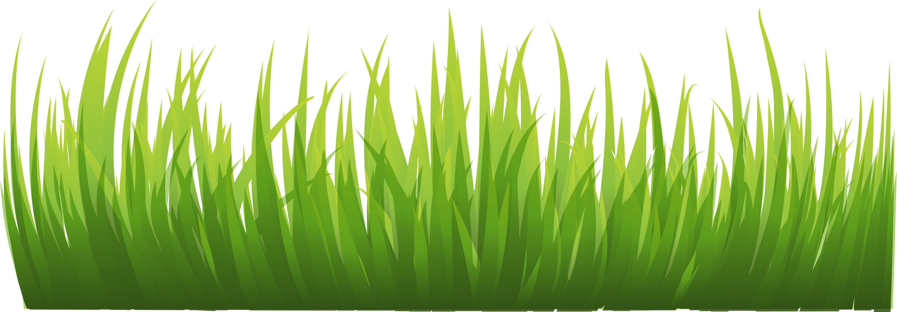 Grass PNG Images Pictures