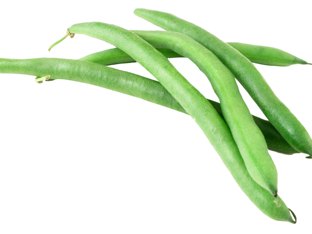 Green bean PNG image free Download