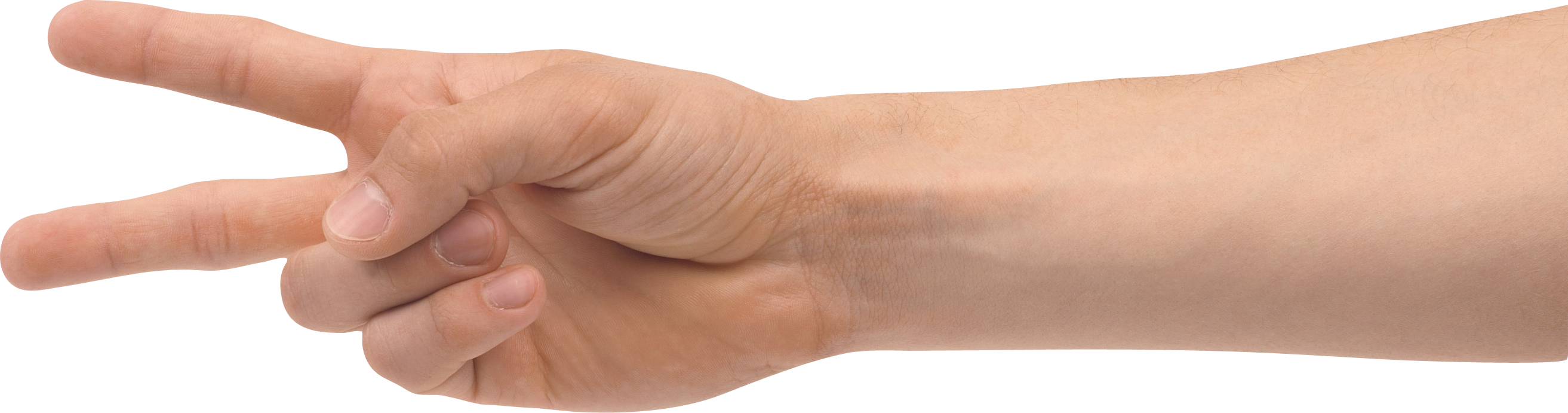 Hands PNG, hand image free
