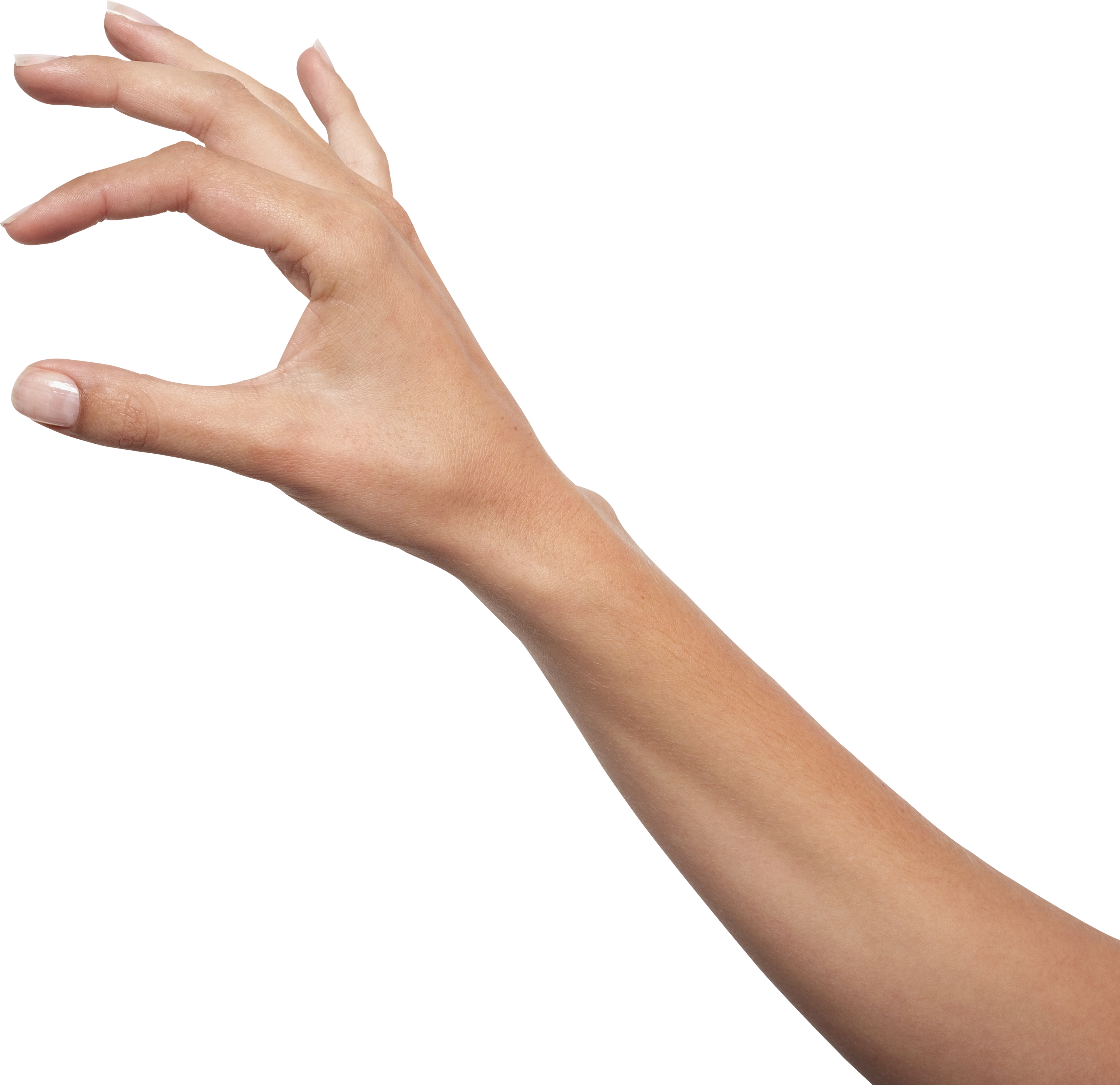 Hands PNG, hand image free