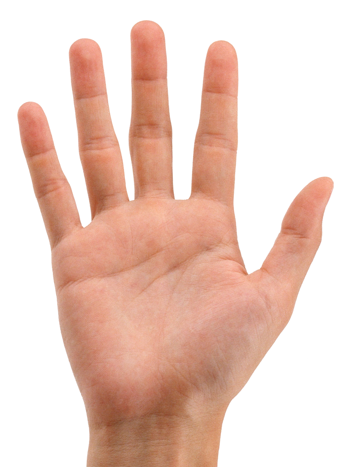 Hands PNG Hand Image Free