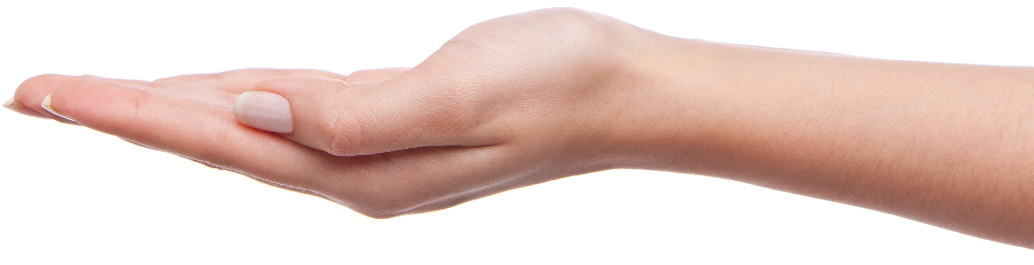Palm hands PNG, hand image free